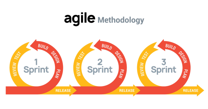 agile-model-1.png