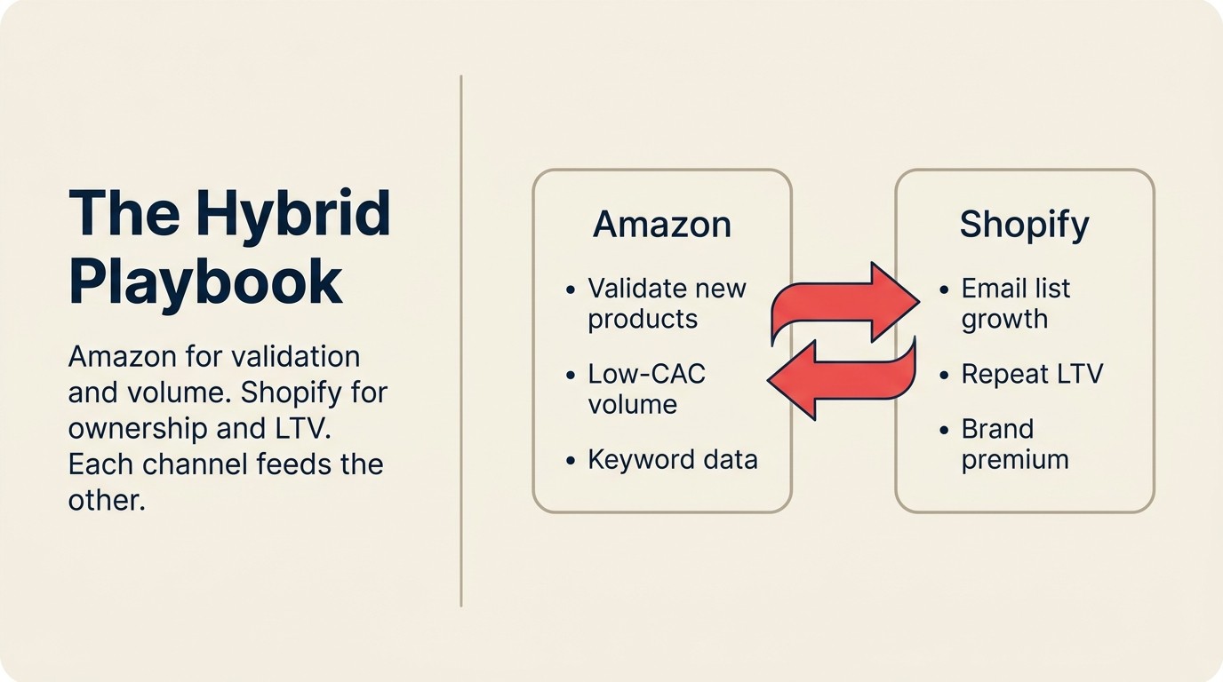 Hybrid channel strategy diagram showing Shopify and Amazon complementing rather than cannibalizing each other