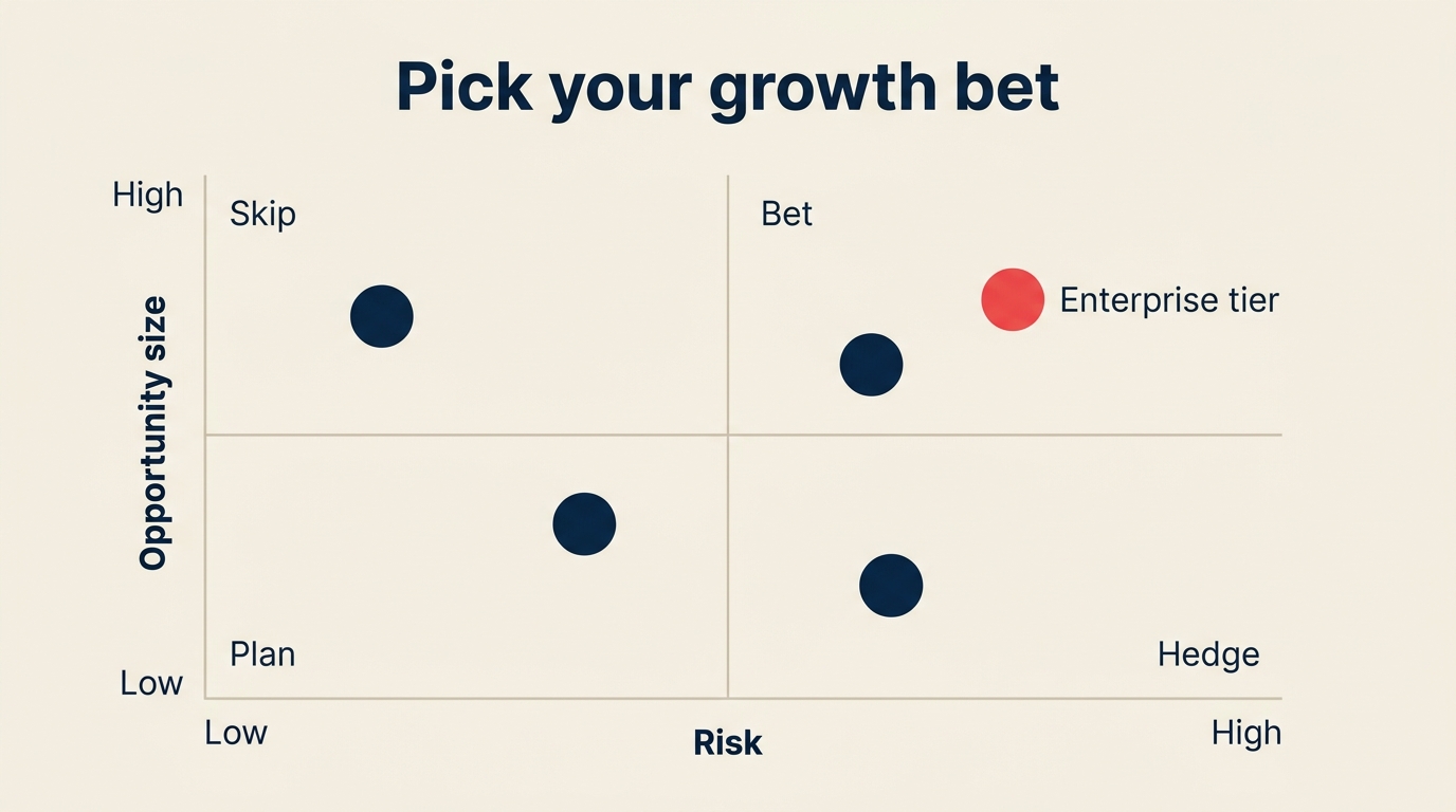 Ansoff bet selection grid: opportunity size vs risk, with one quadrant chosen as the priority bet